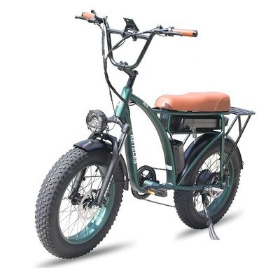23AH 배터리 용량 1000W 2000W 모터 20 인치 뚱뚱한 자전거 전기 자전거 사용자 정의 지원