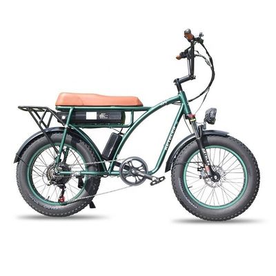 23AH 배터리 용량 1000W 2000W 모터 20 인치 뚱뚱한 자전거 전기 자전거 사용자 정의 지원