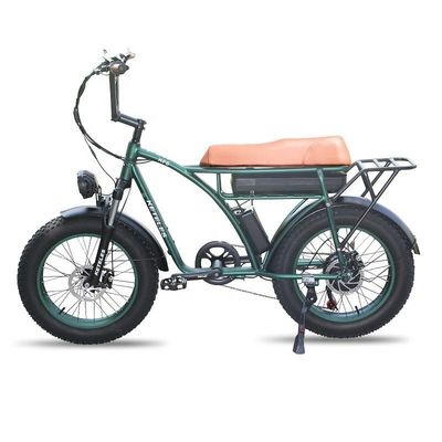 23AH 배터리 용량 1000W 2000W 모터 20 인치 뚱뚱한 자전거 전기 자전거 사용자 정의 지원