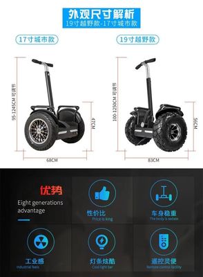 안젤롤 20인치 지방 타이어 2륜 자정 전기차로 순찰을 업그레이드하세요