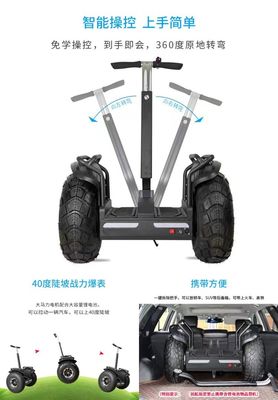 안젤롤 20인치 지방 타이어 2륜 자정 전기차로 순찰을 업그레이드하세요
