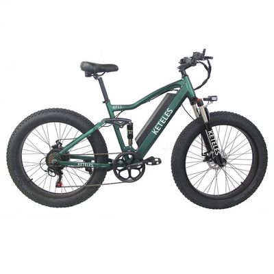 알루미늄 합금 프레임 48V 13AH 리?? 배터리 지방 타이어 전기 자전거 1000W 모터
