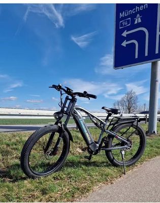 미국 EU 창고 F2 성인 전기 모페드 디스크 브레이크 및 36v 250w 모터 전력