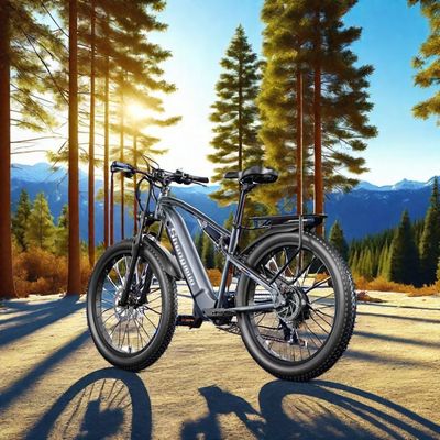 미국 EU 창고 F2 성인 전기 모페드 디스크 브레이크 및 36v 250w 모터 전력