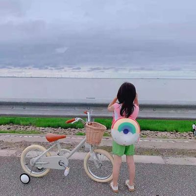 알로이 림 INS 스타일 16 인치 레트로 어린이 자전거 4-8 세 어린이용 단일 속도
